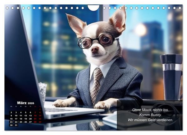 Produktbild: Lustige Chihuahua-Momente (Wandkalender 2026 DIN A4 quer), CALVENDO Monatskalender