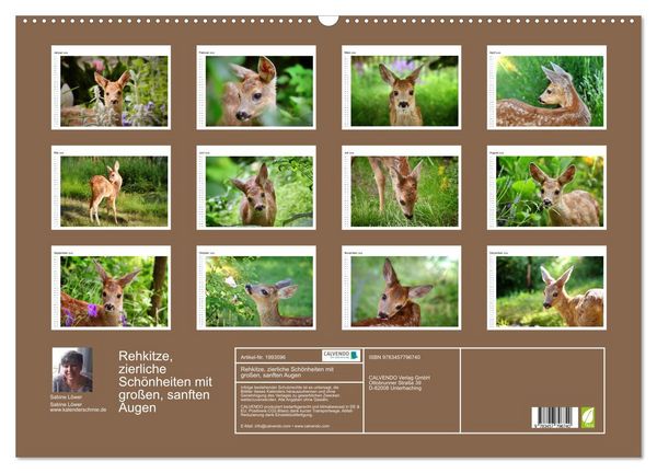 Produktbild: Rehkitze, zierliche Sch&ouml;nheiten mit gro&szlig;en, sanften Augen (Wandkalender 2026 DIN A2 quer), CALVENDO Monatskalender