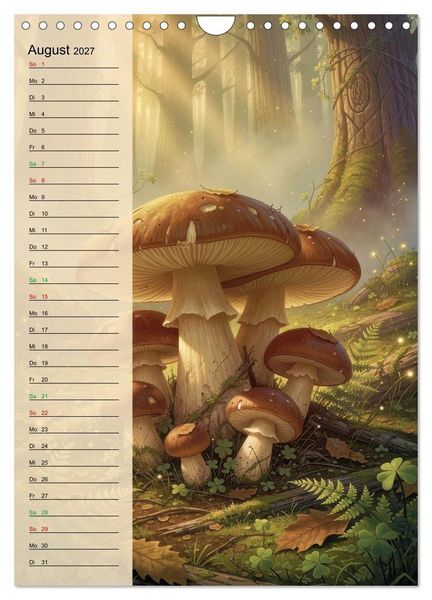 Produktbild: Pilze wie im M&auml;rchen (Wandkalender 2027 DIN A4 hoch), CALVENDO Monatskalender
