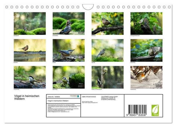 Produktbild: V&ouml;gel in heimischen W&auml;ldern (Wandkalender 2026 DIN A4 quer), CALVENDO Monatskalender