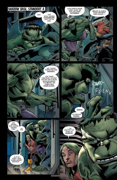 Produktbild: Bruce Banner: Hulk