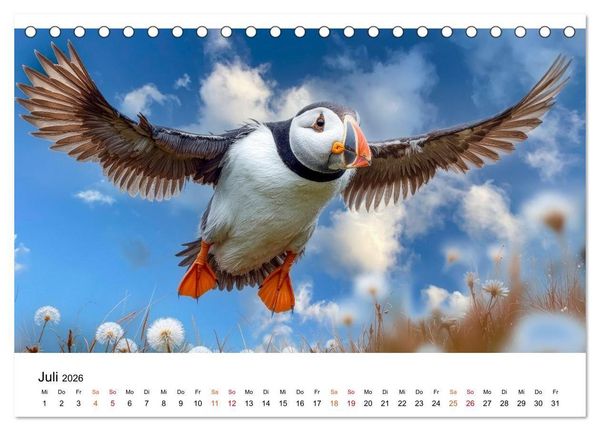 Produktbild: Papageitaucher - Freche Komiker auf Fels und Welle (Tischkalender 2026 DIN A5 quer), CALVENDO Monatskalender