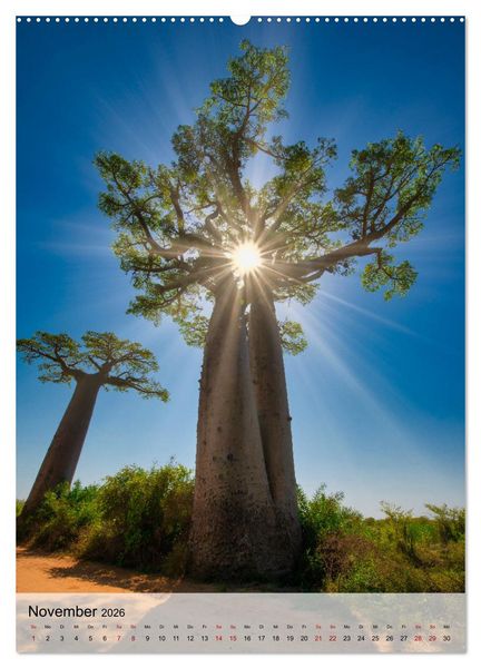 Produktbild: MADAGASKAR: Baobabs, Lemuren, Naturwunder (hochwertiger Premium Wandkalender 2026 DIN A2 hoch), Kunstdruck in Hochglanz