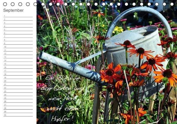 Produktbild: Befl&uuml;gelt (Tischkalender immerw&auml;hrend DIN A5 quer)