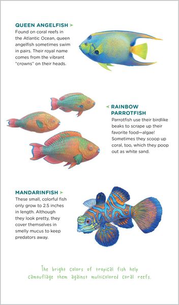 Produktbild: Watery World of Tattoo Ocean Animals