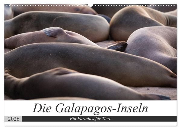 Produktbild: Galapagos-Inseln - Ein Paradies f&uuml;r Tiere (Wandkalender 2026 DIN A2 quer), CALVENDO Monatskalender