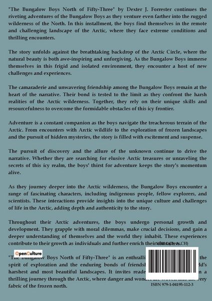 Produktbild: The Bungalow Boys North Of Fifty- Three