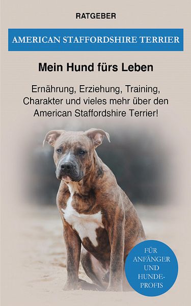 American Staffordshire Terrier
