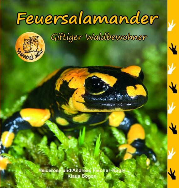 Produktbild: Feuersalamander