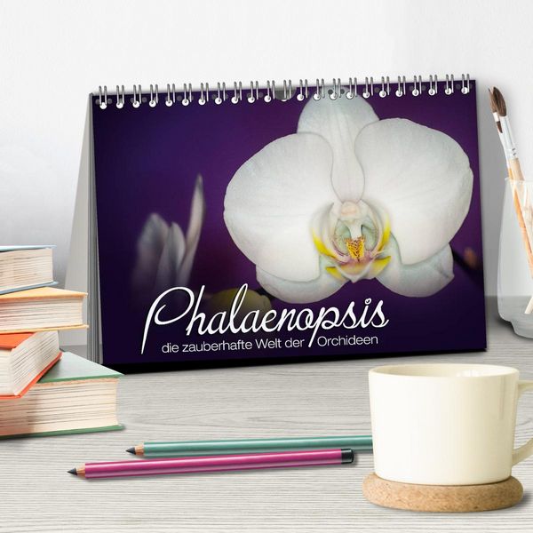 Produktbild: Phalaenopsis - die zauberhafte Welt der Orchideen (Tischkalender 2026 DIN A5 quer), CALVENDO Monatskalender