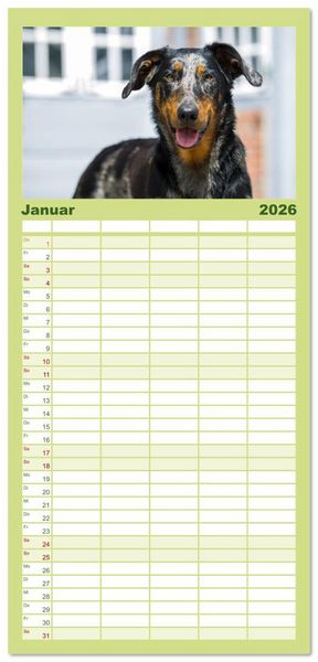 Produktbild: Familienplaner 2026 - Der Beauceron mit 5 Spalten (Wandkalender, 21 x 45 cm) CALVENDO