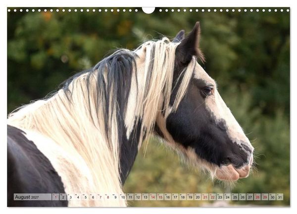 Produktbild: Colorful Horse Ranch &ndash; Wo Tinker posen und Ponys l&auml;cheln (Wandkalender 2027 DIN A3 quer), CALVENDO Monatskalender
