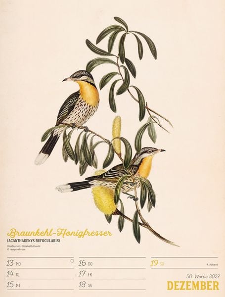 Produktbild: Wunderbare Vogelwelt Wochenplaner Kalender 2027