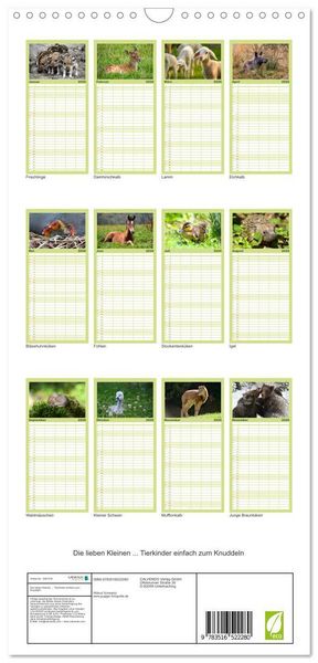 Produktbild: Familienplaner 2026 - Die lieben Kleinen ... Tierkinder einfach zum Knuddeln mit 5 Spalten (Wandkalender, 21 x 45 cm) CALVENDO