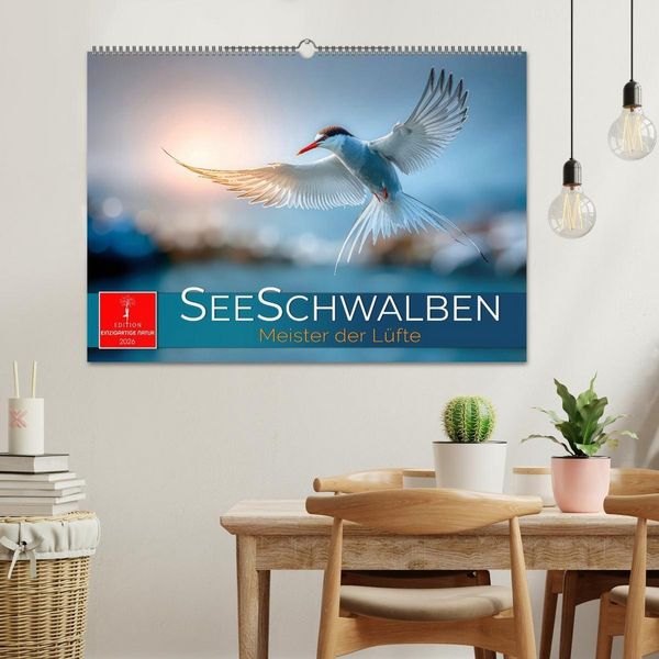 Produktbild: Seeschwalben - Meister der L&uuml;fte (Wandkalender 2026 DIN A2 quer), CALVENDO Monatskalender