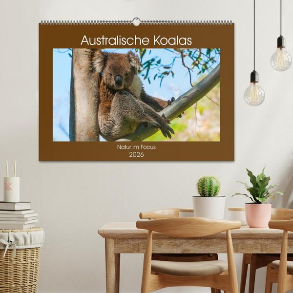 Produktbild: Australische Koalas (Wandkalender 2026 DIN A2 quer), CALVENDO Monatskalender