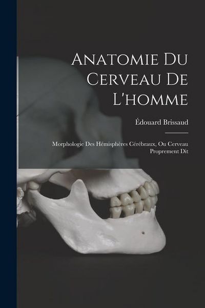 Produktbild: Anatomie Du Cerveau De L'homme