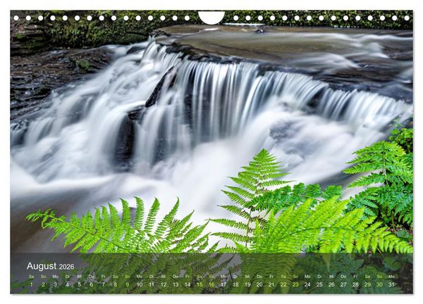 Produktbild: Idyllische Wasserwelten (Wandkalender 2026 DIN A4 quer), CALVENDO Monatskalender