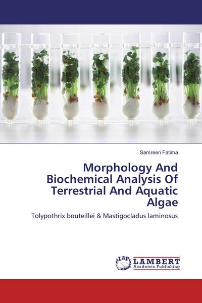 Produktbild: Morphology And Biochemical Analysis Of Terrestrial And Aquatic Algae