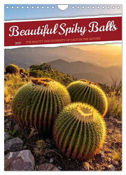 Produktbild: Beautiful Spiky Balls (Wall Calendar 2027 DIN A4 portrait), CALVENDO 12 Month Wall Calendar