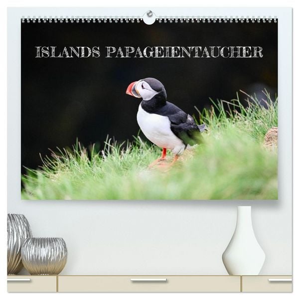Produktbild: Islands Papageientaucher (hochwertiger Premium Wandkalender 2026 DIN A2 quer), Kunstdruck in Hochglanz