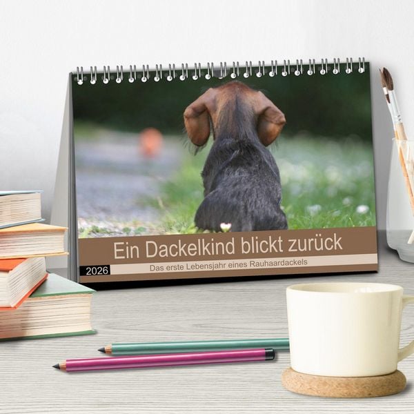 Produktbild: Ein Dackelkind blickt zur&uuml;ck (Tischkalender 2026 DIN A5 quer), CALVENDO Monatskalender