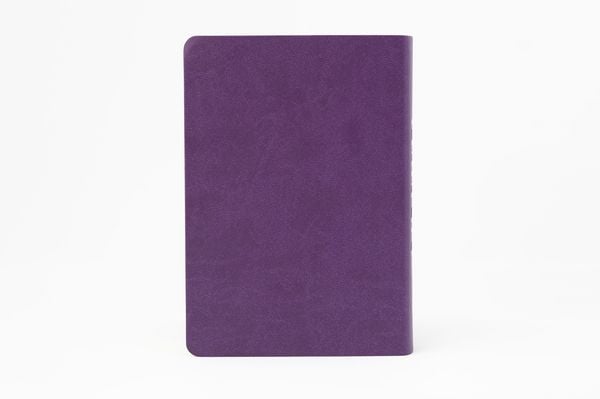 Produktbild: Die Bibel. Senfkorn, Handschmeichler lila