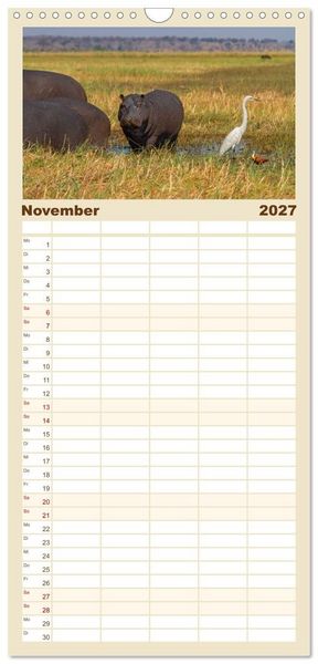 Produktbild: Familienplaner 2027 - Hippos - Gef&auml;hrliche Giganten mit 5 Spalten (Wandkalender, 21 x 45 cm) CALVENDO