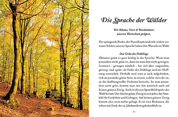 Produktbild: Das kleine Buch: Der Laubbaum