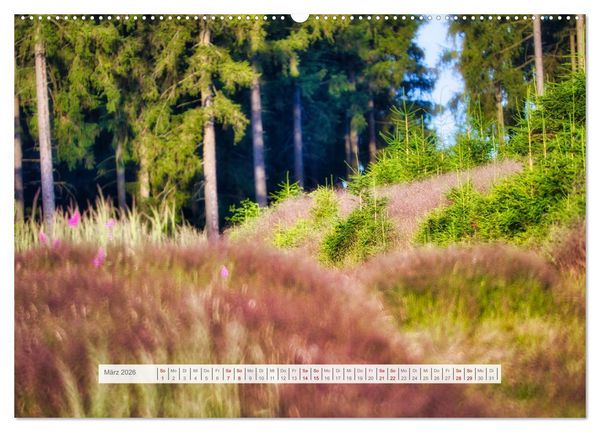 Produktbild: Traumhafte Waldstimmung am Rennsteig im Th&uuml;ringer Wald (hochwertiger Premium Wandkalender 2026 DIN A2 quer), Kunstdruck in Hochglanz