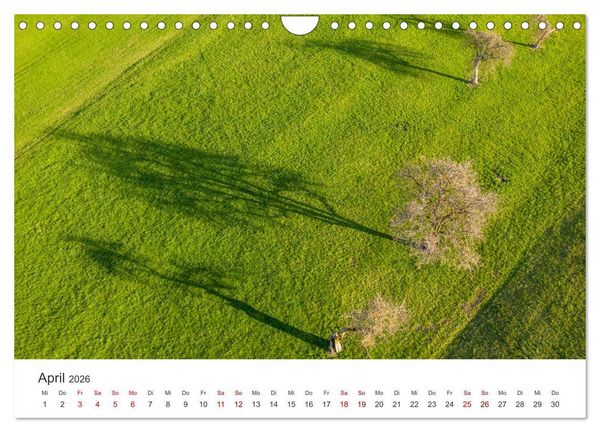 Produktbild: B&auml;ume - Gelebtes Leben (Wandkalender 2026 DIN A4 quer), CALVENDO Monatskalender
