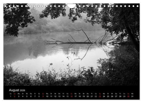 Produktbild: B&auml;ume trees 2026 (Wandkalender 2026 DIN A4 quer), CALVENDO Monatskalender