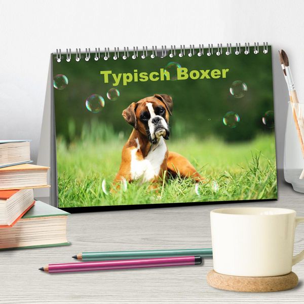 Produktbild: Typisch Boxer (Tischkalender 2026 DIN A5 quer), CALVENDO Monatskalender