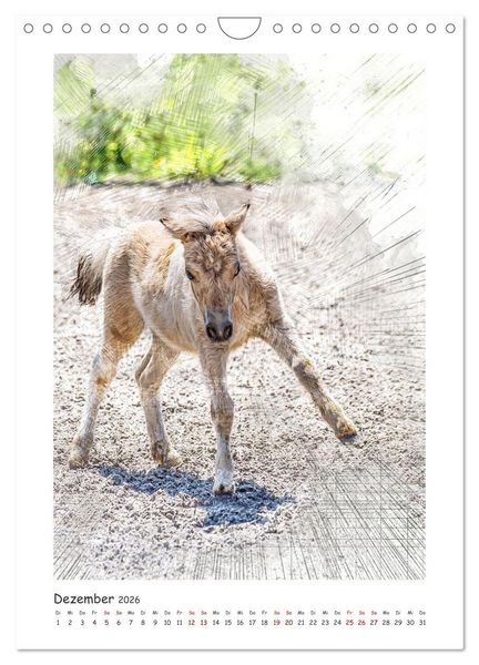 Produktbild: Lebensfreude pur: Fohlen (Wandkalender 2026 DIN A4 hoch), CALVENDO Monatskalender