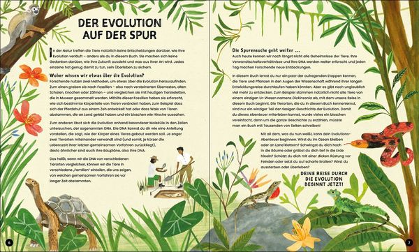 Produktbild: Evolution - Aussterben oder &uuml;berleben? Du entscheidest!