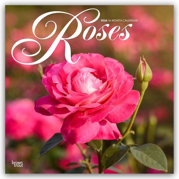 Produktbild: Roses &ndash; Rosen 2026 &ndash; 16-Monatskalender