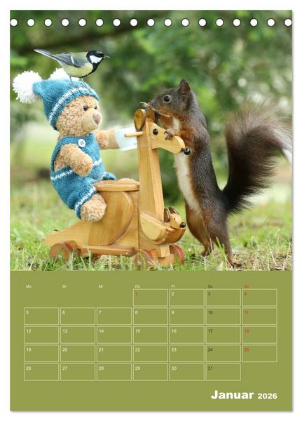 Produktbild: Eichh&ouml;rnchen - Abenteuer mit Freund Teddy (Tischkalender 2026 DIN A5 hoch), CALVENDO Monatskalender