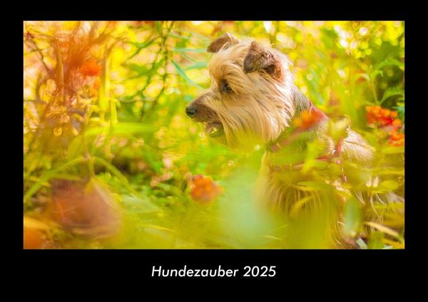 Produktbild: Hundezauber 2025 Fotokalender DIN A3