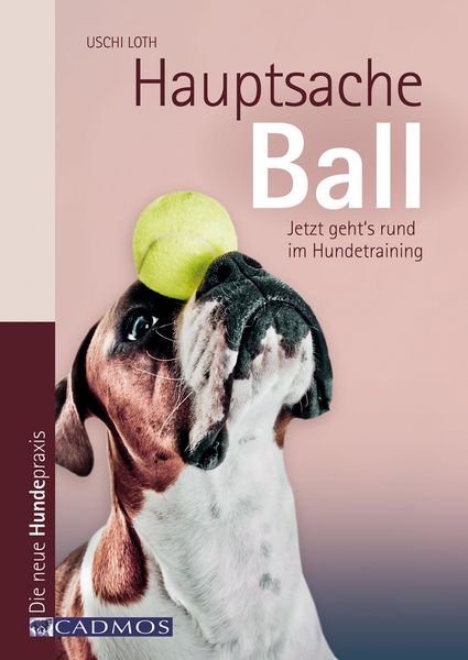 Produktbild: Hauptsache Ball