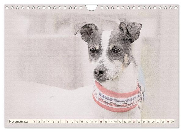 Produktbild: Bodeguero Andaluz 2026 (Wandkalender 2026 DIN A4 quer), CALVENDO Monatskalender