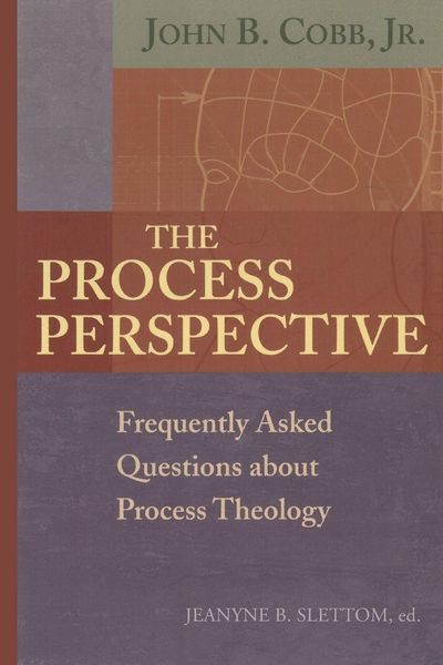 Produktbild: The Process Perspective