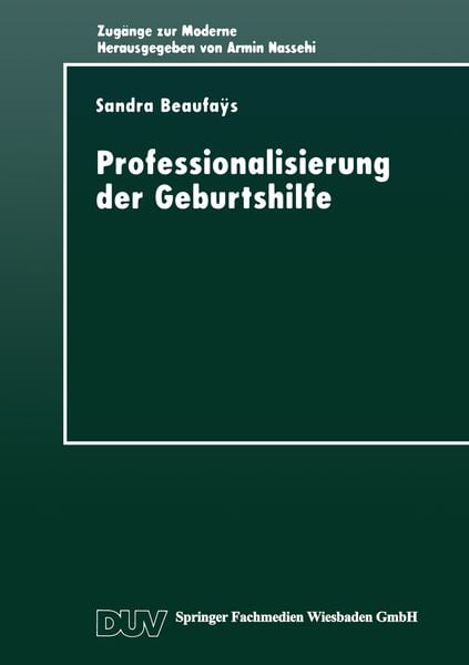 Produktbild: Professionalisierung der Geburtshilfe