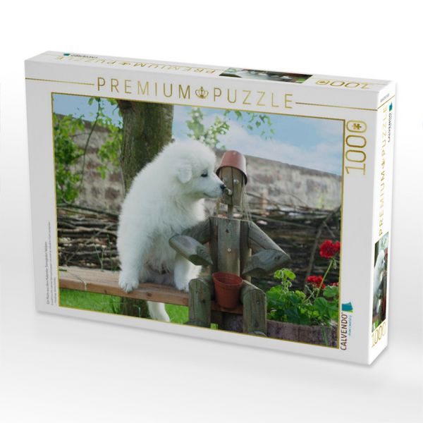 Produktbild: CALVENDO Puzzle Ein Motiv aus dem Kalender Samojeden Welpen | 1000 Teile Lege-Gr&ouml;&szlig;e 64x48cm Foto-Puzzle f&uuml;r gl&uuml;ckliche Stunden
