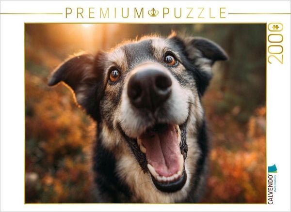 CALVENDO Puzzle Abenteuerlust im goldenen Wald | 2000 Teile Lege-Größe 90 × 67 cm Foto-Puzzle für glückliche Stunden