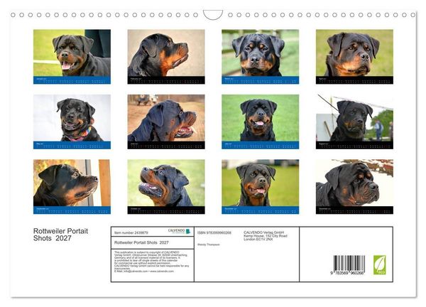 Produktbild: Rottweiler Portait Shots 2027 (Wall Calendar 2027 DIN A3 landscape), CALVENDO 12 Month Wall Calendar