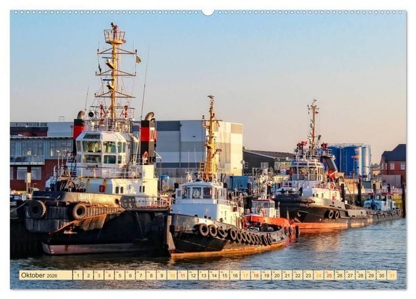 Produktbild: Schlepper - b&auml;renstarke Arbeitstiere (Wandkalender 2026 DIN A2 quer), CALVENDO Monatskalender