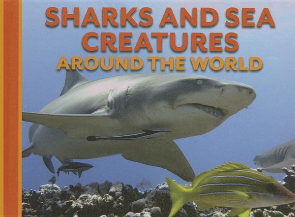 Produktbild: Sharks and Sea Creatures Around the World