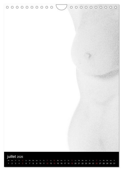 Produktbild: F&eacute;minit&eacute; (Calendrier mural 2026 DIN A4 horizontal), CALVENDO calendrier mensuel