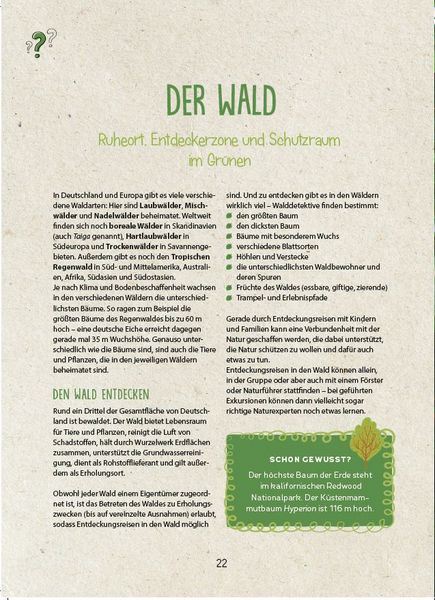 Produktbild: Die Kita-Umwelt-Retter: Wald, Wiese & Insekten