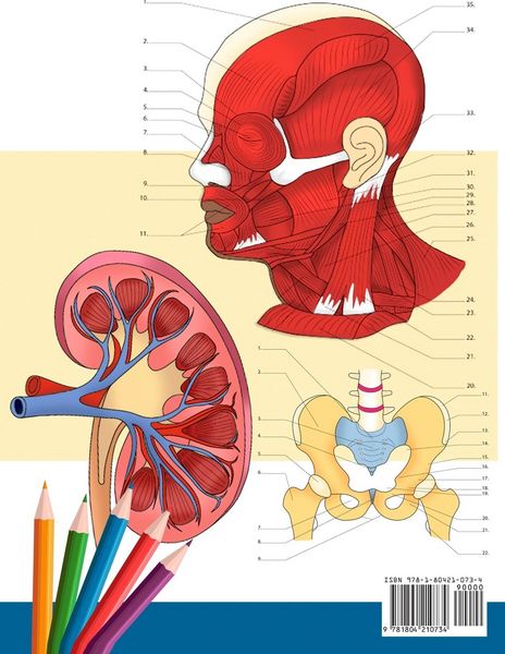 Produktbild: Cuaderno para colorear sobre anatom&iacute;a y fisiolog&iacute;a